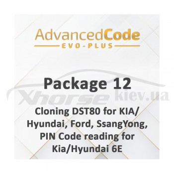 Активация Package 12 - Cloning DST80 for KIA/Hyundai, Ford, SsangYong, PIN Code reading for Kia/Hyundai 6E для EVO Plus