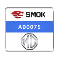 Активация Smok AB0075 Airbag MG Infineon TC224 TRW Bench Connection by CAN FD